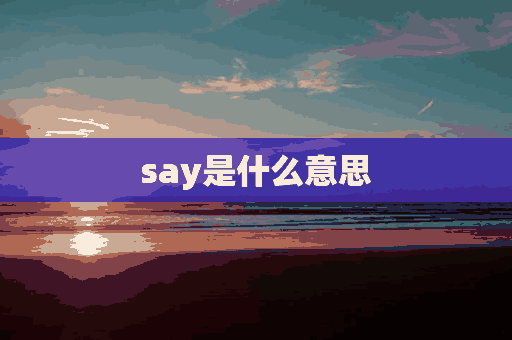 say是什么意思